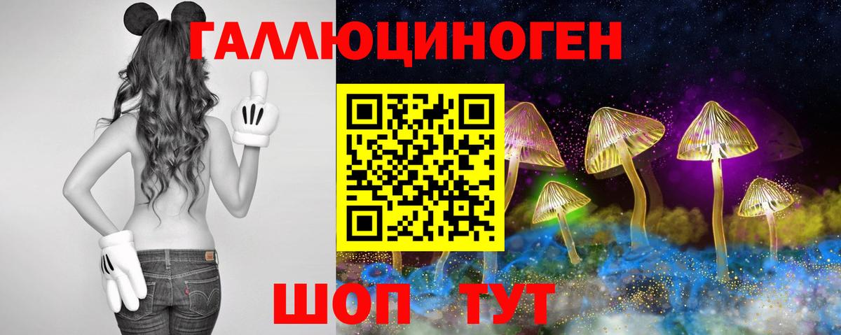 Чистополь  Галлюциногенные грибы Cubensis  Вход с VPN 